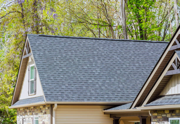 Best Roof Maintenance and Cleaning  in Olton, TX