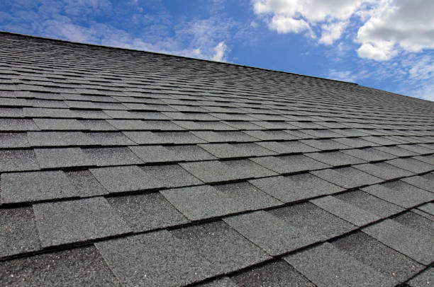 Best Roof Waterproofing  in Olton, TX